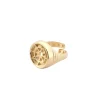 Best Anello Sigillo Pantheon da uomo in Argento 925 Placcato Oro Per Lui | Anelli